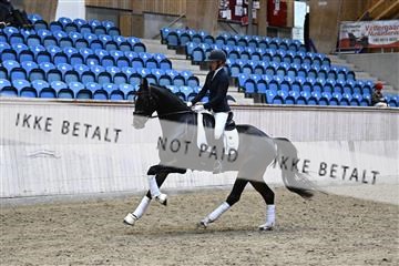 182241_kbb_01_Z094761.JPG