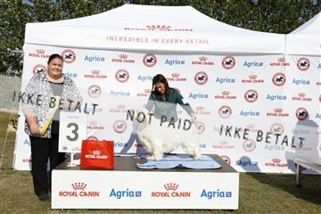 181848_kar_01__62_2502.JPG