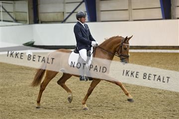 140040_abo_01__AB18177.JPG