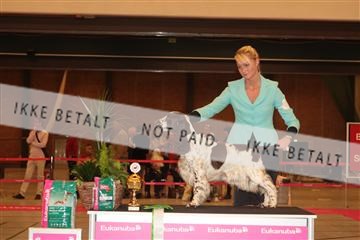 124188 _tl_02_IMG_9729.JPG