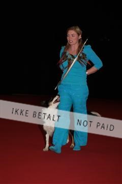 126827_tl_02_IMG_2776.JPG