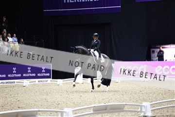182194_avh_06_3686.JPG