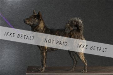 132082_le_ 01_IMG_0117.JPG