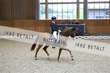 182176_kbb_01_Z094605.JPG