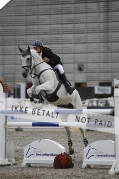 152762_nn _05_IMG_7653.JPG