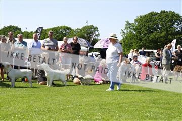 181564_kar_01__62_7863.JPG
