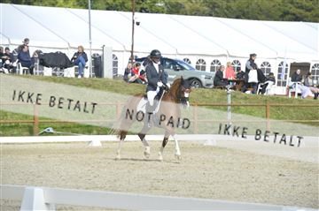 169624_kbb_01__KBB8642.JPG