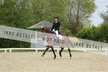 139835_sg_01_IMG_7813.JPG