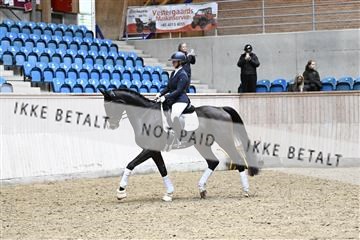 182241_kbb_01_Z095210.JPG