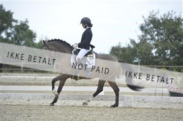 169624_kbb_01__KBB8445.JPG