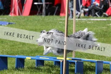 134871_ms_02_IMG_3126.JPG