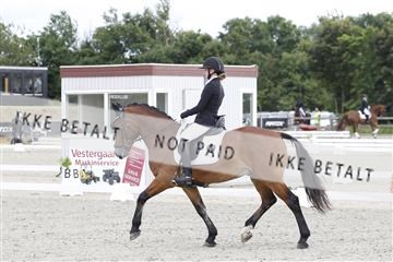 166078_rhj_01__J7R2316.JPG