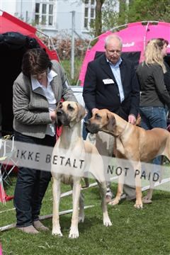 124188 _tl_02_IMG_9488.JPG