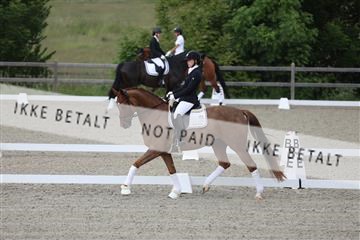172030_mtp_01_3M5A1480.JPG