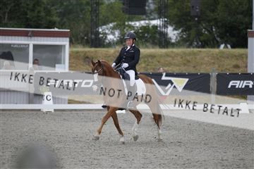 166078_rhj_01__J7R4407.JPG