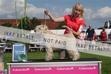 130370_se_03_IMG_7719.JPG