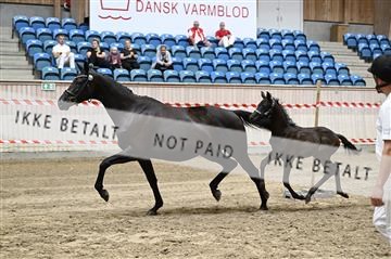 181754_kbb_01_Z093481.JPG