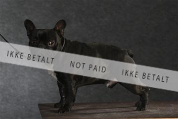 132082_le_ 01_IMG_1515.JPG