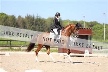 168732_mtp_01_3M5A8473.JPG