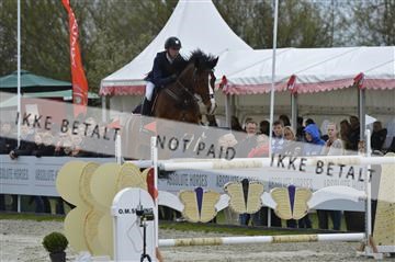139644_abo_08__AB16243.JPG