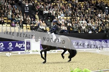182194_kbb_03_Z091764.JPG