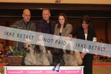 124188 _tl_02_IMG_9536.JPG