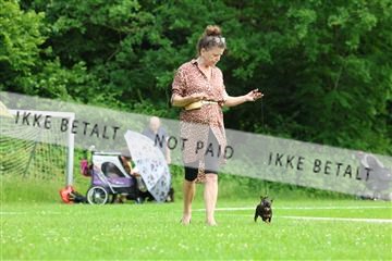 181564_rin_02_R62_1606.JPG
