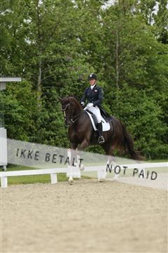 139835_sg_01_IMG_7999.JPG