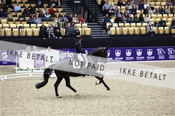 182194_avh_05_2541.JPG