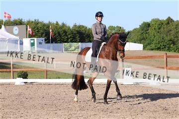 181449_bc_01R62_6472.JPG