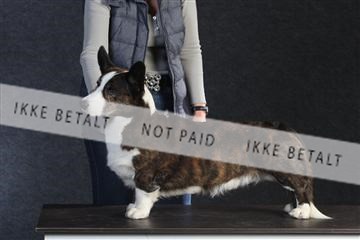 132082_le_ 01_IMG_0598.JPG