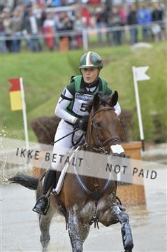 144462_bc_22__BC17252.JPG