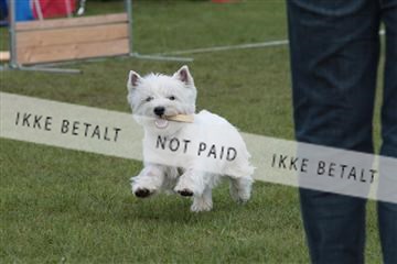 124188 _tl_02_IMG_9440.JPG