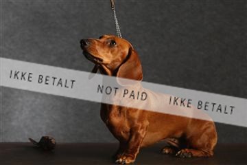 132082_le_ 01_IMG_0302.JPG