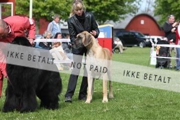 134871_ms_04_IMG_1127.JPG