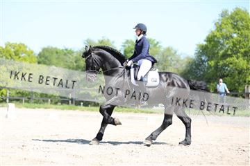 168732_mtp_01_3M5A7855.JPG