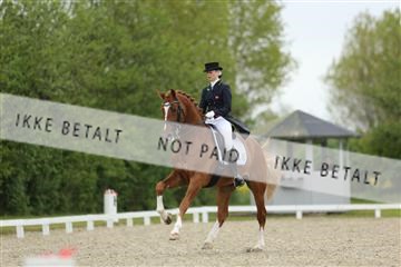 139835_sg_01_IMG_7482.JPG