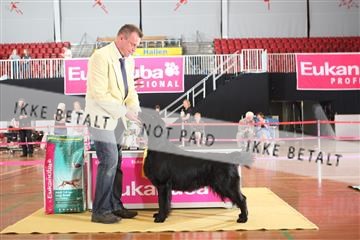 6068_ma_07_IMG_7154.JPG