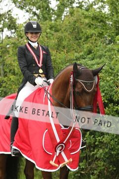 139835_sg_03_IMG_9447.JPG