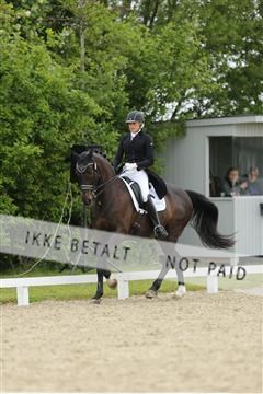 139835_sg_01_IMG_8115.JPG