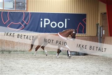 181867_mtp_01_R62_4277.JPG