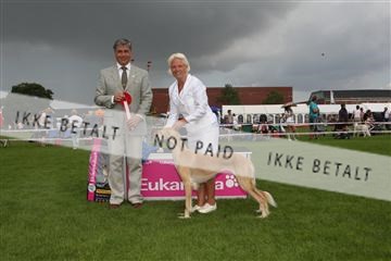 130370_le_02_IMG_8686.JPG