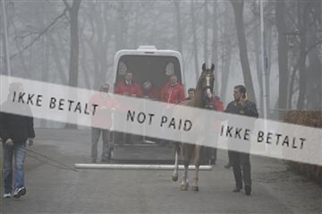 139327_abo_01__AB10084.JPG