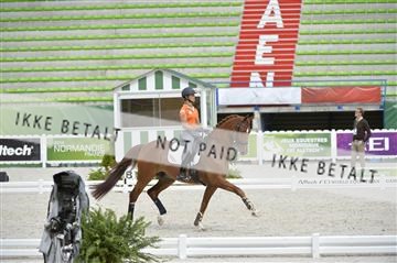 144462_bc_06__BC11286.JPG