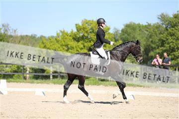 168732_mtp_01_3M5A8304.JPG