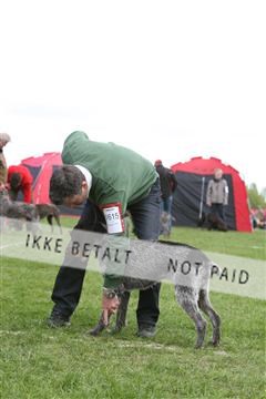 134871_ms_04_IMG_9939.JPG