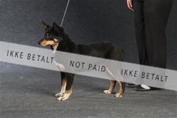 132082_le_ 01_IMG_1362.JPG