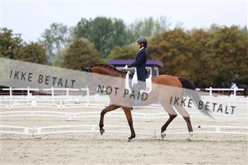 181923_mtp_01_R62_6475.JPG