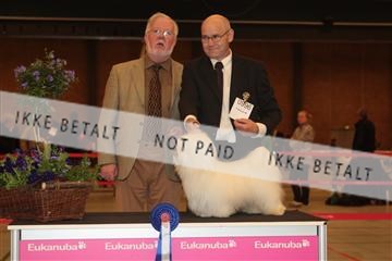 124188 _tl_02_IMG_9299.JPG