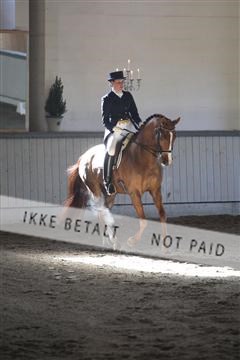 139267_kl_1_8M1Q6486.JPG